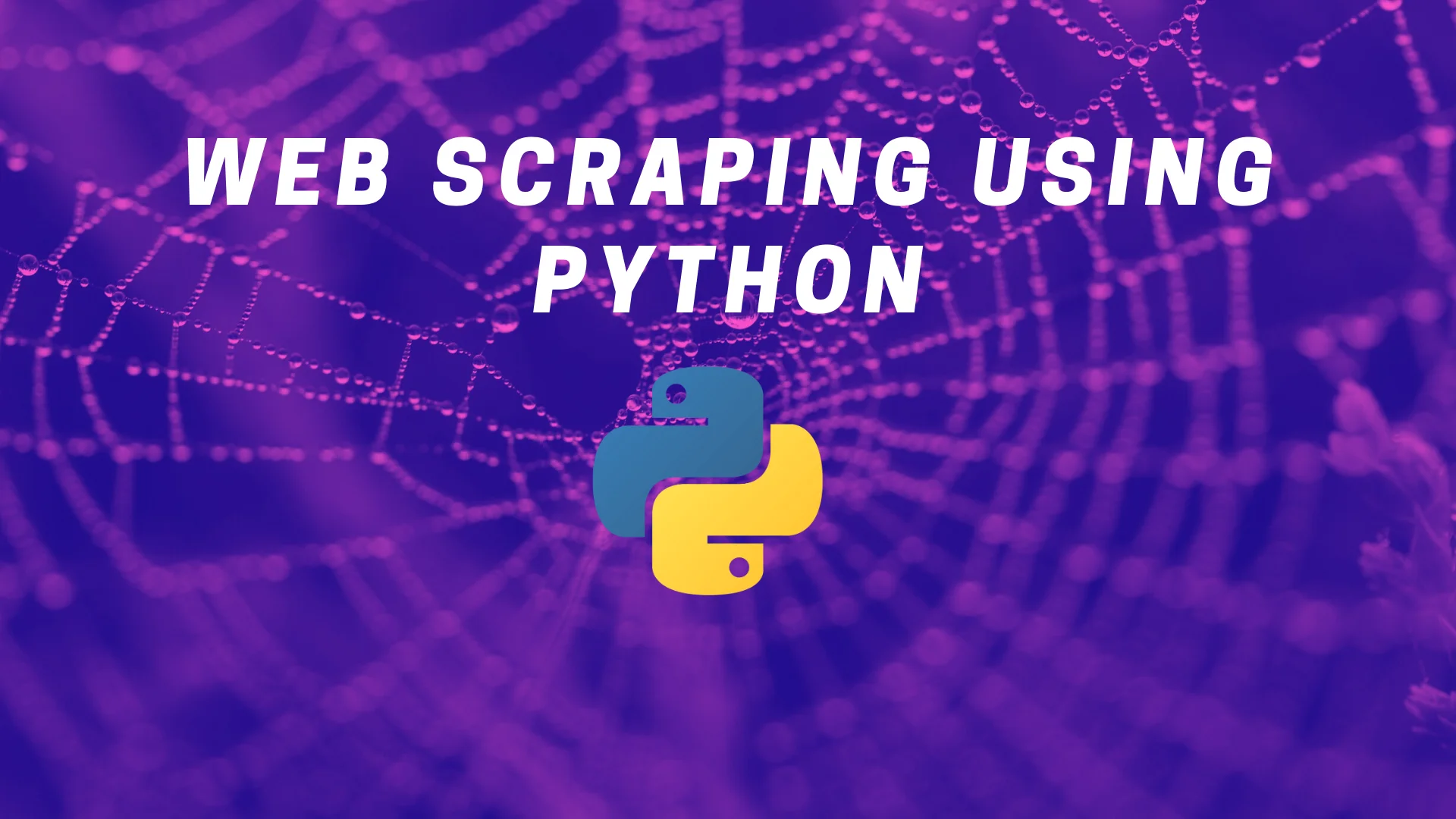 Web data Scrapper